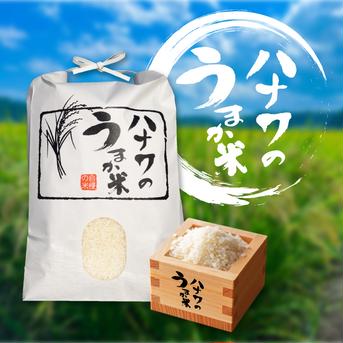 【完売】ふさおとめ（精米）/ 令和5年20kg 20kg 米・穀物/米/精米通販