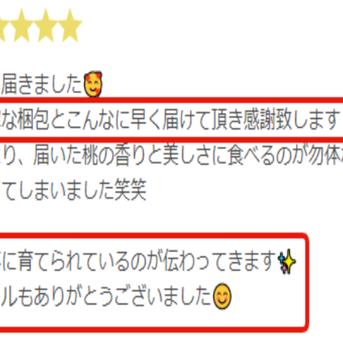 🍑お中元ギフト🍑【2025年7月下旬予約】あしたの内村!!ニノさんTV話題沸騰！幻のシャトーブリアン桃1本の樹からわずか3%しか取れない超希少な桃5個～【贈答用桐箱入り】 超希少シャトーブリアン桃5個 果物/もも通販