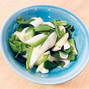 ４kg自然栽培の美味しい葉玉ねぎ🧅ご飯が進む！お酒が進む！簡単に美味しいができる！ ４kg 葉玉ねぎ　 野菜/玉ねぎ通販