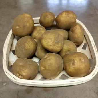 皮までおいしいほくほくキタアカリ 1kg 野菜/じゃがいも通販