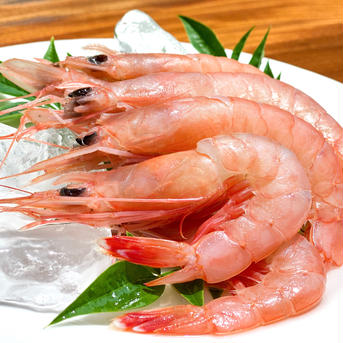 喜びを享受できる、とろけるような食感と美味！トロえび大500g トロえび大1P 魚介類/エビ通販
