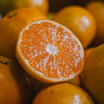 数量限定】訳あり 極早生みかん 3kg『お得な価格で、美味しさそのまま