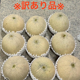 B品】ルピアレッド 7L2玉 ｜ 果物/メロン 産直アウル 農家・漁師など