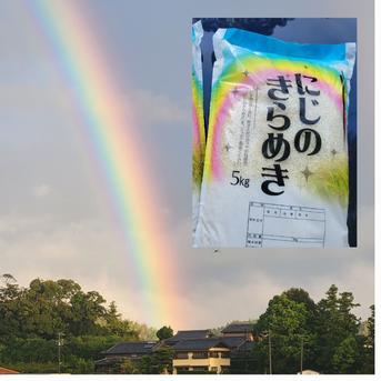 新米7年産】5kg 虹のきらめき精米後 ｜ 米・穀物/米/精米 産直アウル