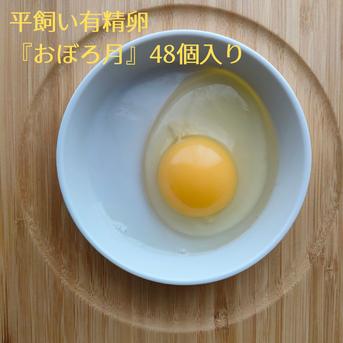 平飼い有精卵 おぼろ月 6個入り×8パック 48個入（45個+割れ補償3個）遠藤農園 埼玉県加須市 後藤もみじ卵 1パック6個入×8パック 48個 卵/鶏卵通販