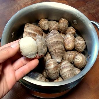 無農薬】里芋2種類食べ比べセット！栗のようにホクホク甘い里芋 八つ