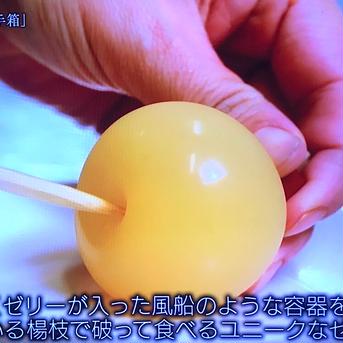 てんぐの玉手箱と手しごと蒟蒻詰め合わせ 蒟蒻・田楽みそ10品、てんぐの玉手箱1箱 加工品/加工品セット・詰め合わせ通販