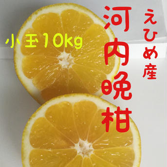 愛南ゴールド超小玉10kg 9kg 果物/オレンジ・その他みかん通販