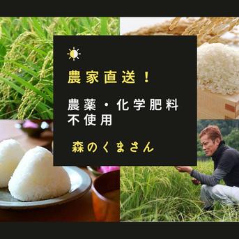 令和4年度熊本県産''森のくまさん''5kg 5kg 米・穀物/玄米通販