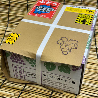 クール便】ぶどう【ブラックビート】1kg〜1.2kg前後(2〜3房)山梨県産