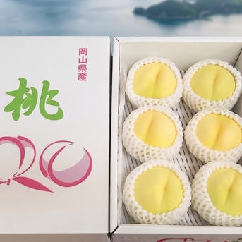 もものごほうび、岡山の清水白桃 ｜ 果物/もも 産直アウル 農家・漁師