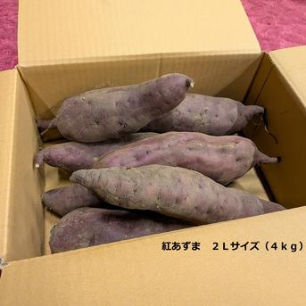 ma-tu大前さん規格外 さつまいも 送料込み おまけ付き 北海道産さつまいも 食べ比べセット サイズ大きめ8kg | 野菜