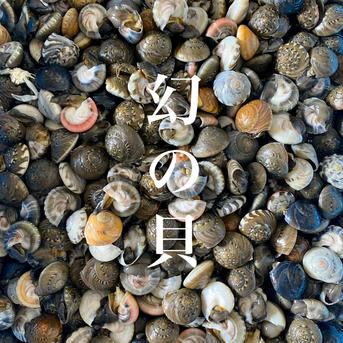 【旬祭限定】活ながらみ(小サイズ)２KG九十九里産 活ながらみ【２k】小サイズ 魚介類/その他貝類通販