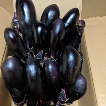 k様専用 野菜/茄子通販