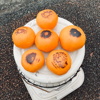 🍊完熟早生みかん(興津)S.M.L混合 | 果物/温州みかん 産直アウル 農家