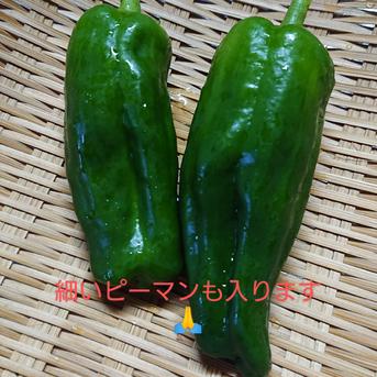 【60ｻｲｽﾞクール便】🉐自生ニラ&たっぷり小ぶりピーマン 約1.5㎏〜 野菜/野菜セット・詰め合わせ通販
