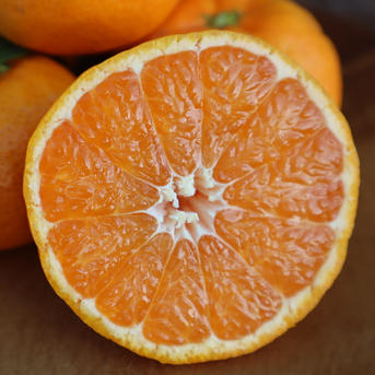 倍量増量中！！サイズ2L以上のあまーい大きな温州みかん20キロ | 果物