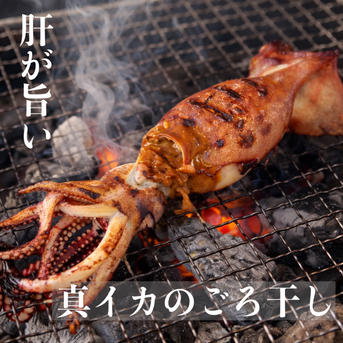 イカ4種☆豪華食べ比べセット ｜ 魚介類/イカ 産直アウル 農家・漁師