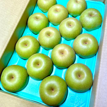 梨 幸水5kg ｜ 果物/梨 産直アウル 農家・漁師など生産者から直接野菜