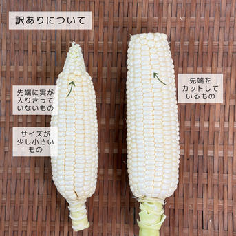 お買い得品 福岡県エコ農産物認定 朝取り！まるでフルーツみたいに甘い