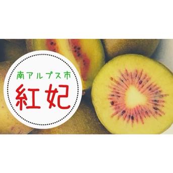 最終です 希少！農家直送 赤いキウイフルーツ