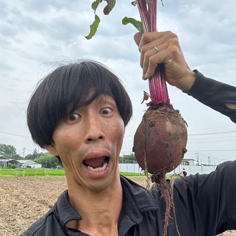 ジョニーのビーツ少量パック 1.5kg 野菜/その他野菜通販