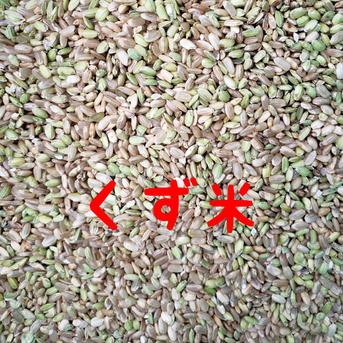 令和7年 高知産 コシヒカリ 飼料用米(くず米)25㎏(袋込み) | 米