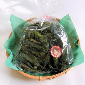 茎わかめ400g×5袋 ｜ 魚介類/海藻 産直アウル 農家・漁師など生産者