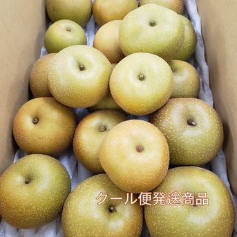 【クール便発送商品】8月収穫梨！訳ありご家庭用梨！サイズいろいろはいります！4ｋｇ！ 4 果物/梨通販