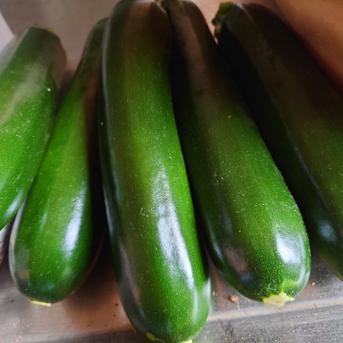 美味しさギュ！初出品記念枝豆・ズッキーニセット 1.5kg 野菜/野菜セット・詰め合わせ通販