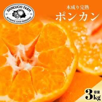 甘味と酸味のバランスが絶妙】ポンカン 3kg 愛媛県産 家庭用 ぽんかん