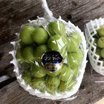 岡山県産シャインマスカット1.2kg（2〜3房・種なし） ｜ 果物/ぶどう