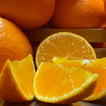 【贈答用】太陽と海のまどんな🍊（2.5〜3k入） 2.5〜3.0k 果物/オレンジ・その他みかん通販