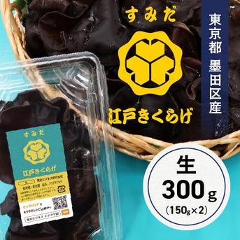 東京都墨田区産 生キクラゲ300g（150g×2パック） ｜ 野菜/きのこ 産直