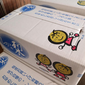 【かおり】3kg（4〜5玉）【家庭用】2024夏！幻の梨！ 【かおり】3kg（4-5玉）【家庭用】 果物/梨通販