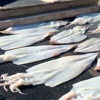 【福袋】５種★漁師おまかせセット（中） 福袋【5種】漁師におまかせセット 魚介類/魚介セット・詰め合わせ通販