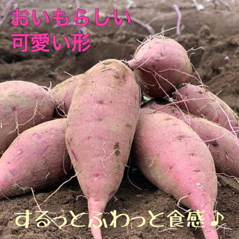 数量限定‼︎ 熟成　さつまいも シルクスイート A級 2kg ［送料こみ］ 2kg 野菜/さつまいも通販