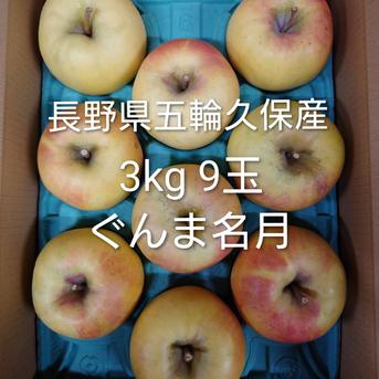 リンゴ様 りんご 【信州安曇野 米山農園】 2色リンゴ ふじ ぐんま名月 4.6kg 16
