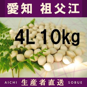 2026年新物！ 愛知県 祖父江産 久寿 銀杏 ぎんなん 4L 10kg ☆秋の味覚