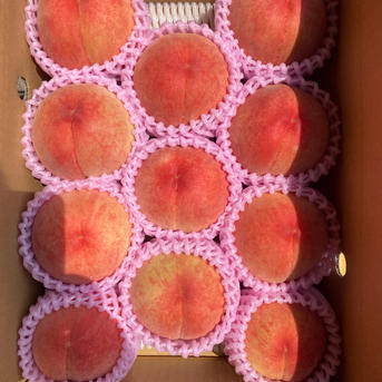 朝採り新鮮】産地直送 福島県産 桃 あかつき 秀品 約5kg 13〜15玉 ご
