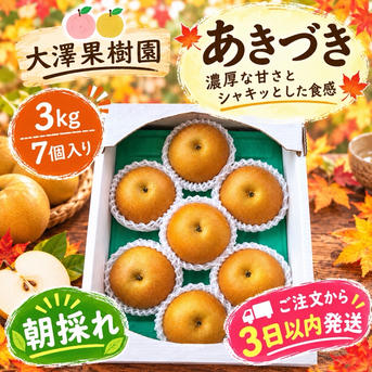 ⚠️ えり⚠️茨城県産　梨/甘ひびき 秀品/3キロ　 6〜7玉(大玉) あきづき梨 7個入 大玉 3キロ箱 秀品 ｜ 果物/梨 産直アウル 農家