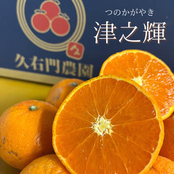 津之輝　10キロ入 津之輝 10キロ入 【公式通販】