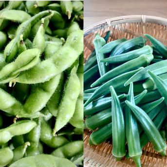 欲張り？枝豆700g➕朝採り新鮮☆オクラ300g 枝豆700g   オクラ300g(25本前後) 野菜/豆類通販