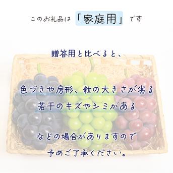3M-2家 花笑み農園 岡山『ぶどう彩り3種MIX』1.8kg 家庭用【9/13～順次