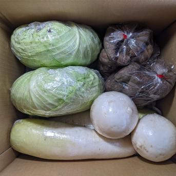 キャベツ、ダイコン、カブ、サトイモ、リンゴ 約8.3kg 野菜/野菜セット・詰め合わせ通販