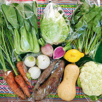 野菜セット★7品目　パチャママ農園 7品目 野菜/野菜セット・詰め合わせ通販