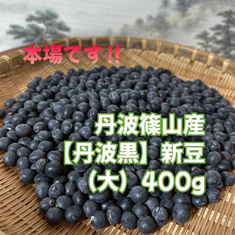 2/23まで 丹波篠山産 黒大豆「丹波黒」産地直送 【大】400g 令和7年産 