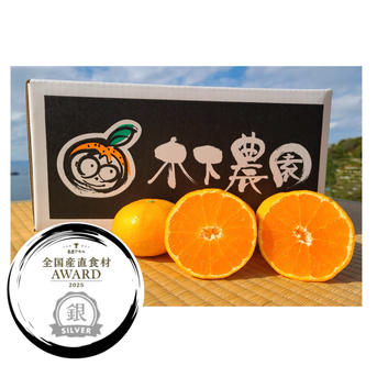 木下さんちのみかん 良品箱込み10キロ（5キロ箱×2箱） | 果物