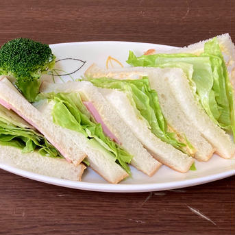 シャッキシャキ❗️みずみずさが段違い✨淡路島のレタス🥬(4個) レタス4玉 野菜/レタス通販