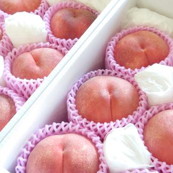 【桃②甘い系】 大きくて甘い桃 なつっこ L玉以上 約2.5kg【クール便】 ｜ 果物/もも